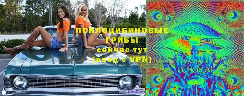 Псилоцибиновые грибы мицелий  Отрадное 